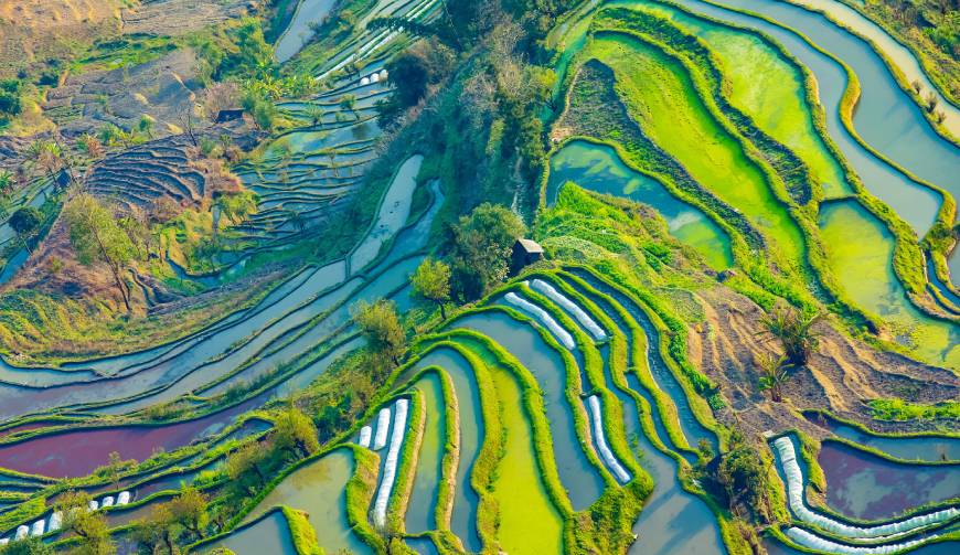 宝妈必备神器：四平产品视频拍摄轻松育儿好帮手